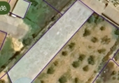 Non-developable land for sale on España, Fuente Álamo, ref: TR375518 photo