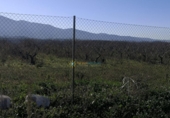 Non-developable land for sale on España, Castelló de Rugat, ref: TR346300 photo