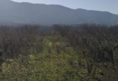 Non-developable land for sale on España, Castelló de Rugat, ref: TR346300 photo