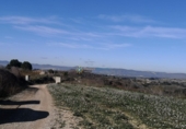 Non-developable land for sale on España, Castelló de Rugat, ref: TR346300 photo
