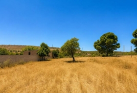 Padul 1300&nbsp;m²