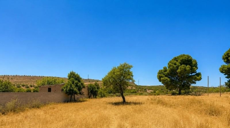 Granada - Padul - 1300m2