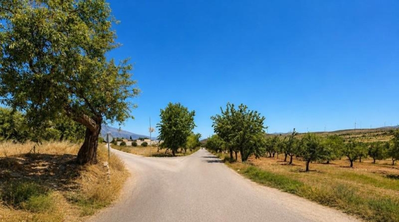 Granada - Padul - 1300m2