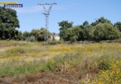 Отдельно стоящий дом с участком на продажу в городе Valencia de Alcántara Фото