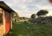 Country house with land for sale on España, Aldea del Cano, ref: TR293649 photo