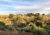 Country house with land for sale on España, Aldea del Cano, ref: TR293649 photo