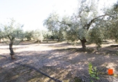 Terreno no urbanizable en venta en la España, Santa Bàrbara, ref: TR125058 foto