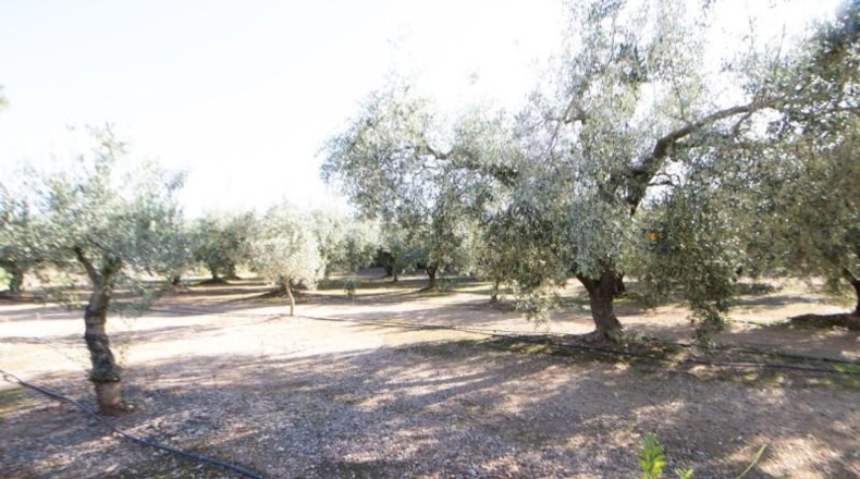Tarragona - Santa Bàrbara - 14000m2