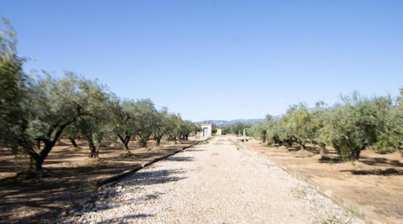 Tarragona - Santa Bàrbara - 14000m2