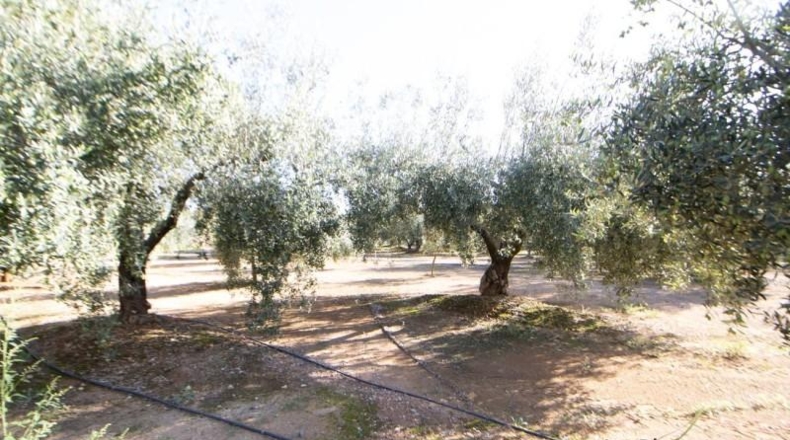 Tarragona - Santa Bàrbara - 14000m2