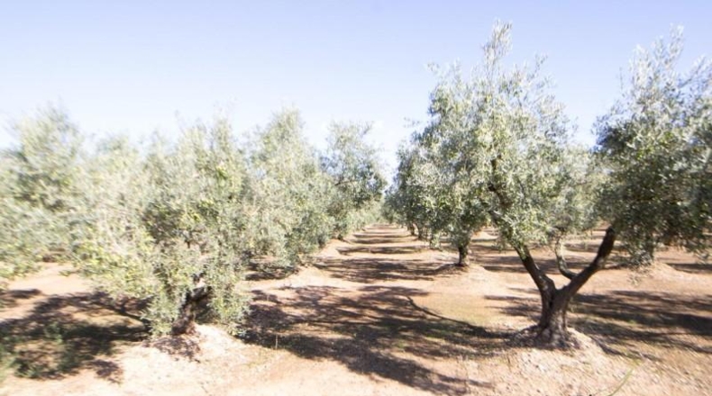 Tarragona - Santa Bàrbara - 14000m2