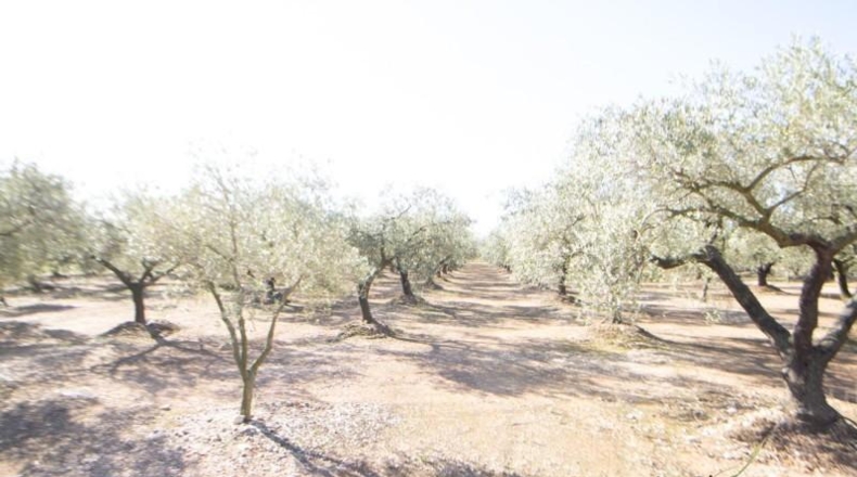 Tarragona - Santa Bàrbara - 14000m2