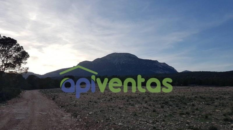 Murcia - Lorca - 23238m2