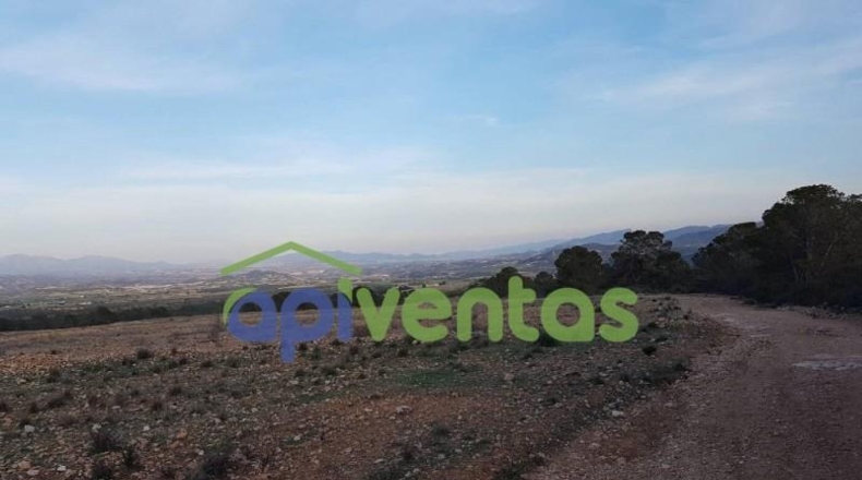Murcia - Lorca - 23238m2