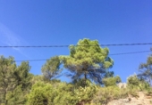 Suelo urbano en venta en la España, Rellinars, ref: TR124844 foto