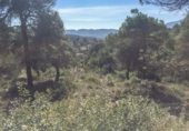 Suelo urbano en venta en la España, Rellinars, ref: TR124844 foto