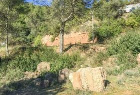 Foto 13