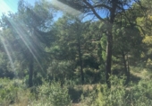 Suelo urbano en venta en la España, Rellinars, ref: TR124844 foto
