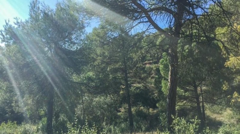 Barcelona - Rellinars - 946m2