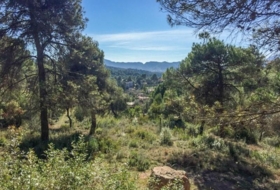 Foto 15