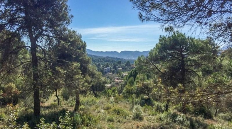 Barcelona - Rellinars - 946m2