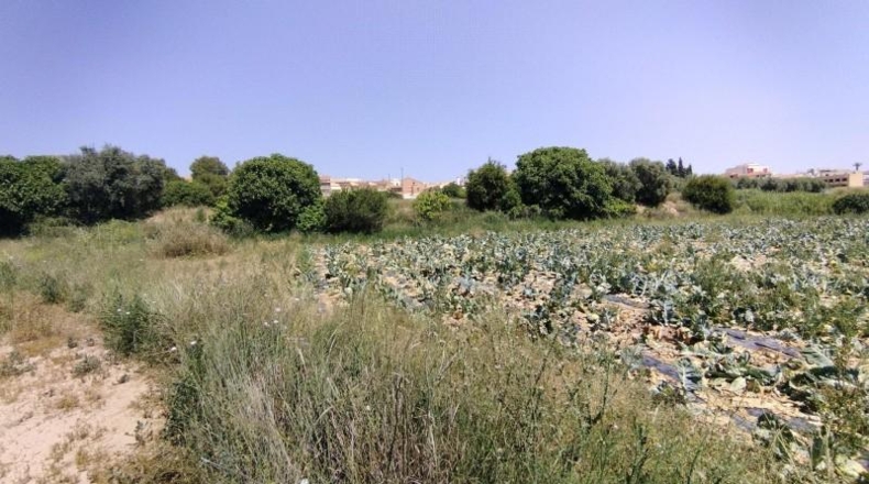 Murcia - Calasparra - 2725m2
