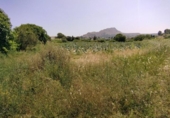 Terreno no urbanizable en venta en la España, Calasparra, ref: TR276733 foto