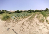 Terreno no urbanizable en venta en la España, Calasparra, ref: TR276733 foto
