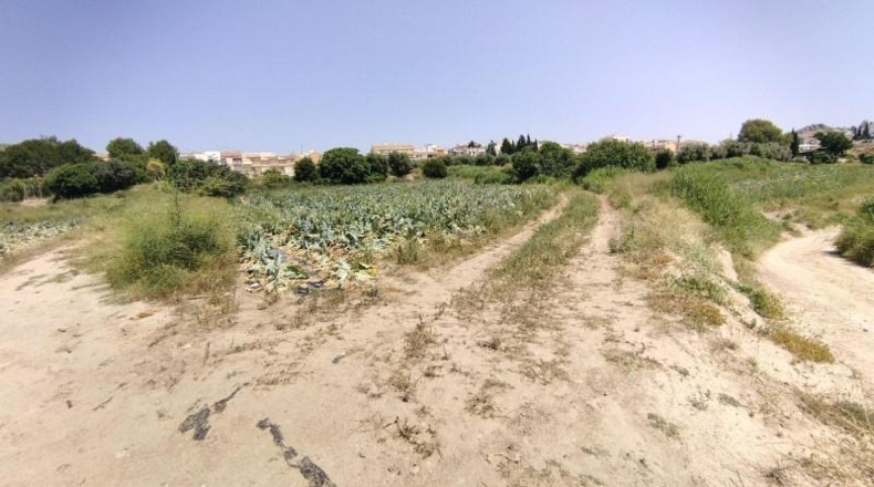 Murcia - Calasparra - 2725m2