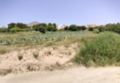 Terreno no urbanizable en venta en la España, Calasparra, ref: TR276733 foto