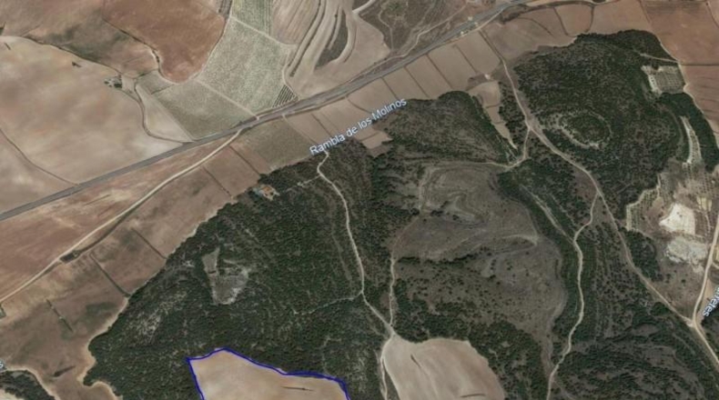 Albacete - Almansa - 22000m2