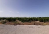 Terreno no urbanizable en venta en la España, Alzira, ref: TR121814 foto