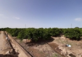 Terreno no urbanizable en venta en la España, Alzira, ref: TR121814 foto