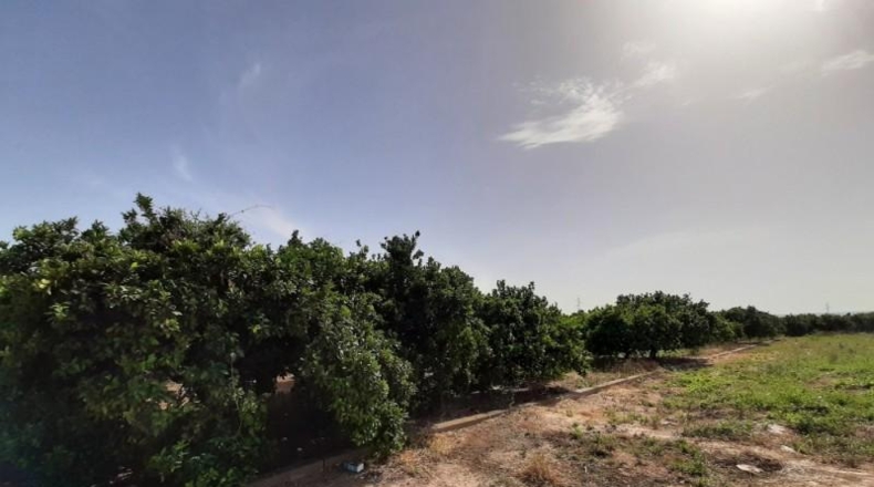 València - Alcira - 9783m2