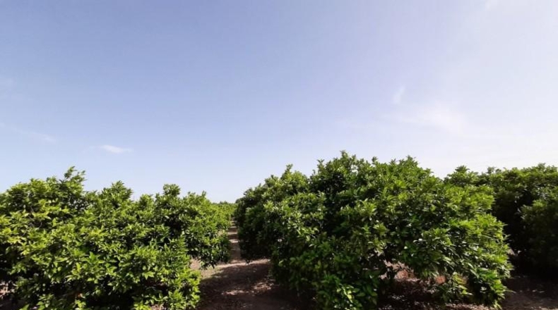 València - Alcira - 9783m2
