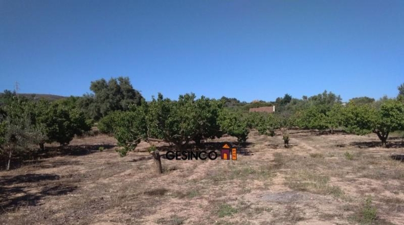 València - Onteniente - 3897m2
