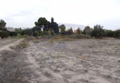 Terreno no urbanizable en venta en la España, Alguazas, ref: TR134841 foto