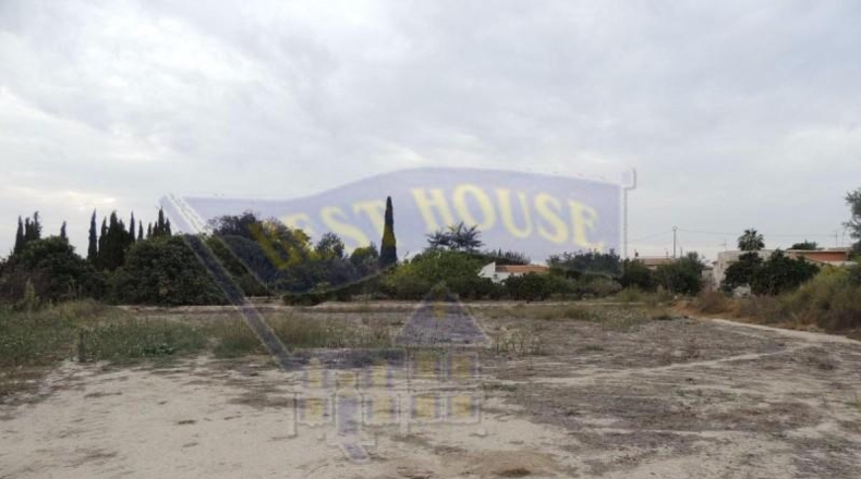 Murcia - Alguazas - 1120m2