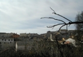 Terreno no urbanizable en venta en la España, Cuéllar, ref: TR118315 foto