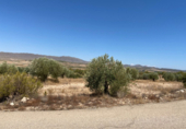 Terreno no urbanizable en venta en la España, Jumilla, ref: TR118460 foto