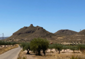 Terreno no urbanizable en venta en la España, Jumilla, ref: TR118460 foto