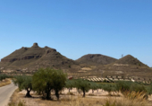Terreno no urbanizable en venta en la España, Jumilla, ref: TR118460 foto