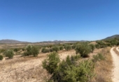 Terreno no urbanizable en venta en la España, Jumilla, ref: TR118460 foto