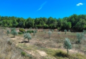 Отдельно стоящий дом с участком на продажу в городе Horta de Sant Joan Фото