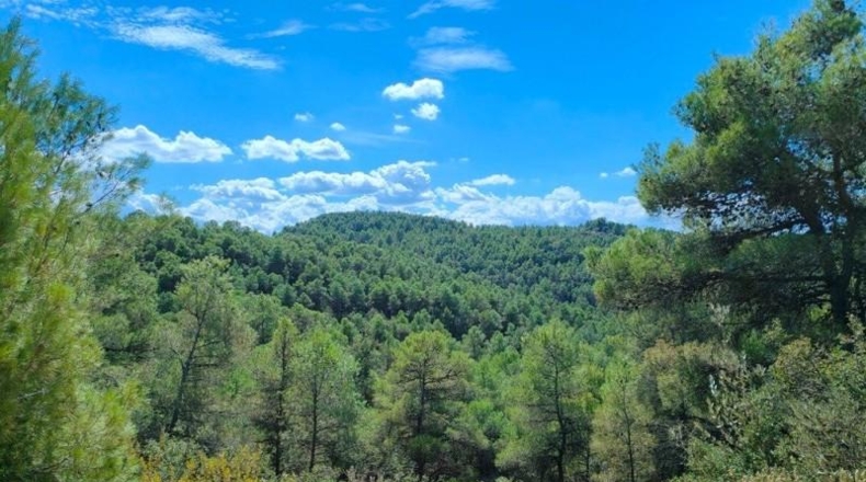 Tarragona - Horta de Sant Joan - 99901m2