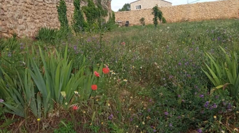 Teruel - Calamocha - 332m2