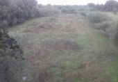 Terreno no urbanizable en venta en la España, Arroyo de la Luz, ref: TR118774 foto