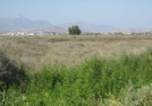Parcela urbanizable en venta en la España, Aspe, ref: TR306151 foto