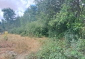 Terreno no urbanizable en venta en la España, Sotosalbos, ref: TR168670 foto