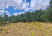 Terreno no urbanizable en venta en la España, Sotosalbos, ref: TR168670 foto